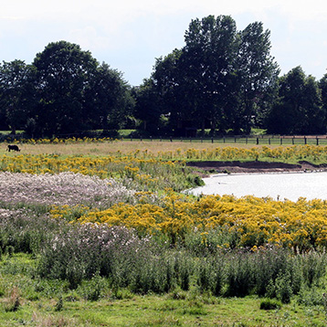 Naturpark Hohe Mark