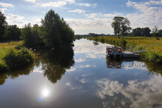 Steveraue in Olfen mit Blick auf den Floßanleger (Foto: Daniel Borrmann)